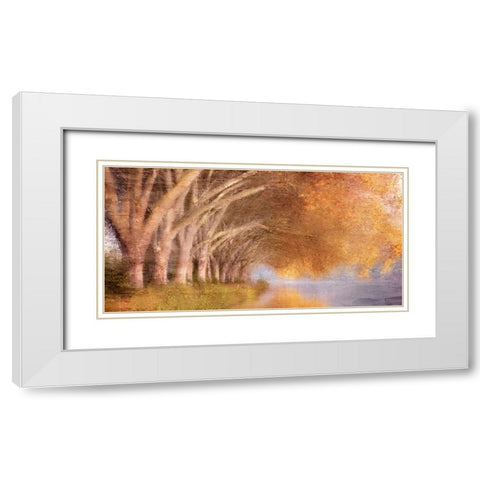 Quiet Autumn Pond White Modern Wood Framed Art Print with Double Matting by Allen, Kimberly