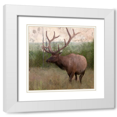 Elk Stride White Modern Wood Framed Art Print with Double Matting by Allen, Kimberly