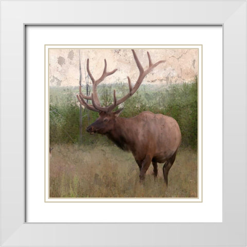 Elk Stride White Modern Wood Framed Art Print with Double Matting by Allen, Kimberly