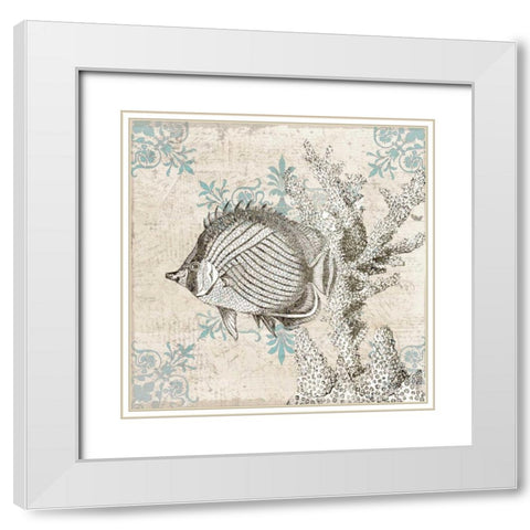Sea Life A White Modern Wood Framed Art Print with Double Matting by Allen, Kimberly