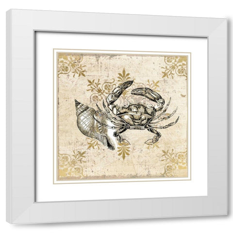 Marine Life 3 White Modern Wood Framed Art Print with Double Matting by Allen, Kimberly