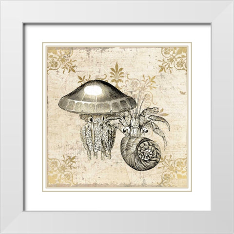 Marine Life White Modern Wood Framed Art Print with Double Matting by Allen, Kimberly