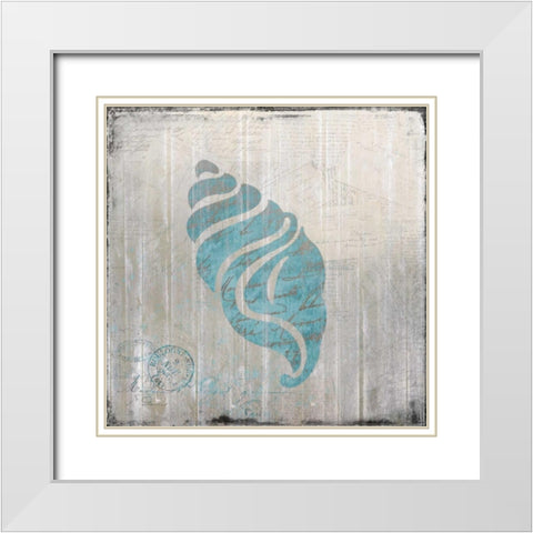 Seashell 1 White Modern Wood Framed Art Print with Double Matting by Allen, Kimberly