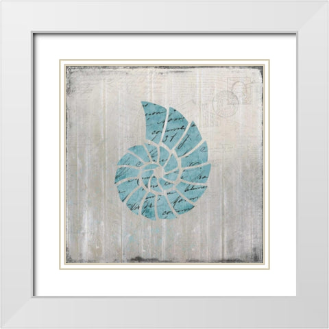 Seashell 2 White Modern Wood Framed Art Print with Double Matting by Allen, Kimberly