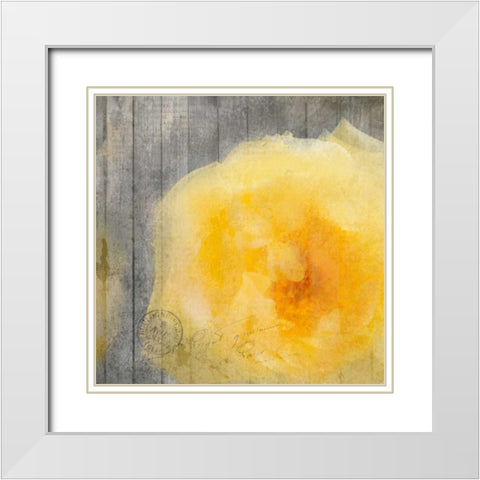 Yellow Bloom White Modern Wood Framed Art Print with Double Matting by Allen, Kimberly