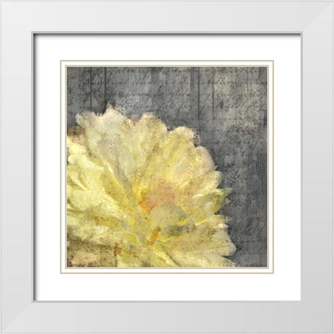 In Nature Yellow White Modern Wood Framed Art Print with Double Matting by Allen, Kimberly