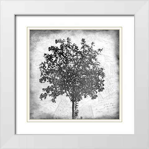 Tree Silhouette Black and White 2 White Modern Wood Framed Art Print with Double Matting by Allen, Kimberly