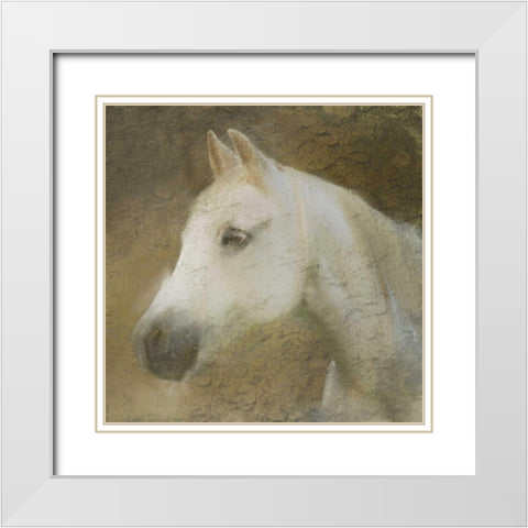 Graceful Horse White Modern Wood Framed Art Print with Double Matting by Allen, Kimberly