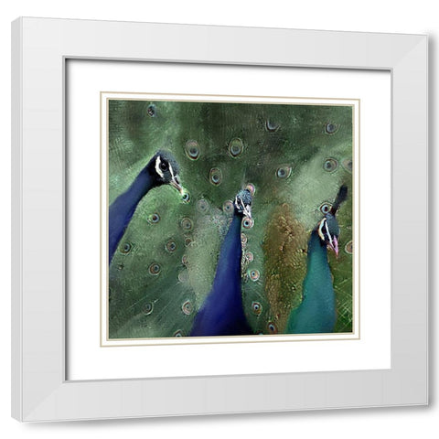 Royal 1 White Modern Wood Framed Art Print with Double Matting by Kimberly, Allen