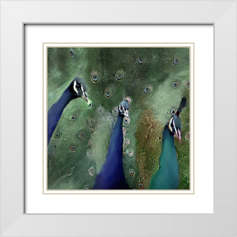Royal 1 White Modern Wood Framed Art Print with Double Matting by Kimberly, Allen