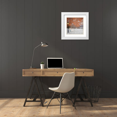 A Change of Seasons White Modern Wood Framed Art Print with Double Matting by Kimberly, Allen