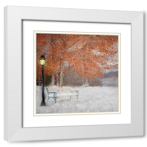 A Change of Seasons White Modern Wood Framed Art Print with Double Matting by Kimberly, Allen