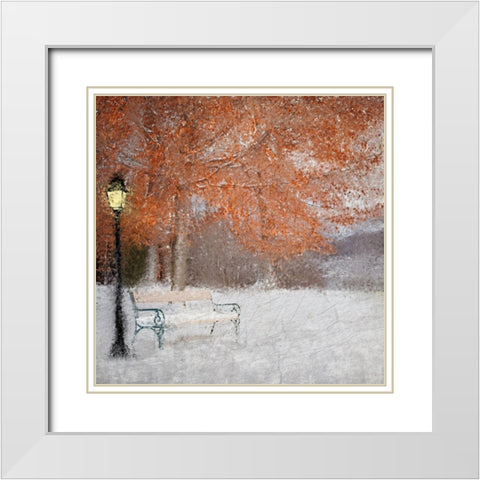 A Change of Seasons White Modern Wood Framed Art Print with Double Matting by Kimberly, Allen