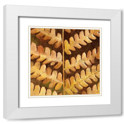 Autumn Leaves 1 White Modern Wood Framed Art Print with Double Matting by Kimberly, Allen