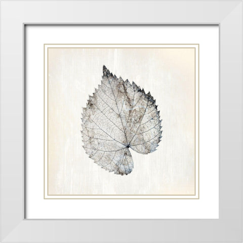 Marbled White 1 White Modern Wood Framed Art Print with Double Matting by Kimberly, Allen