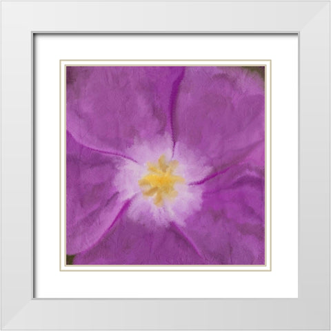 Purple Bloom 2 White Modern Wood Framed Art Print with Double Matting by Kimberly, Allen