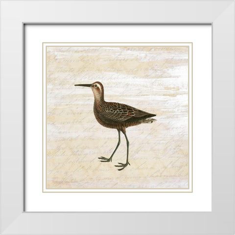 Shore Birds 2 White Modern Wood Framed Art Print with Double Matting by Kimberly, Allen