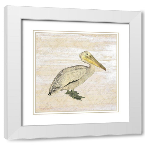 Shore Birds 3 White Modern Wood Framed Art Print with Double Matting by Kimberly, Allen