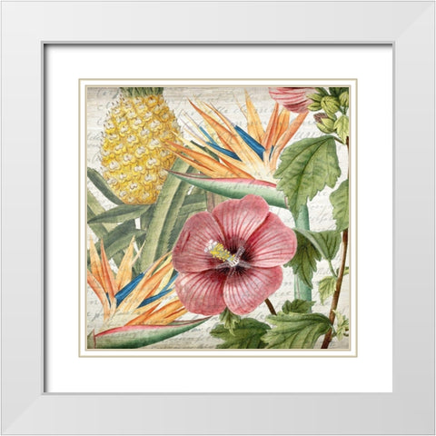 My Tropics 1 White Modern Wood Framed Art Print with Double Matting by Kimberly, Allen