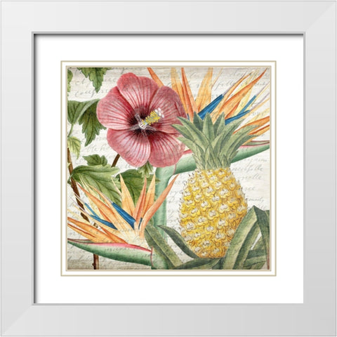 My Tropics 2 White Modern Wood Framed Art Print with Double Matting by Kimberly, Allen