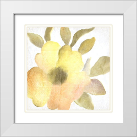 Summer Blooms 1 White Modern Wood Framed Art Print with Double Matting by Kimberly, Allen