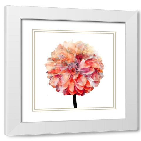 Painted Dahlia 1 White Modern Wood Framed Art Print with Double Matting by Kimberly, Allen