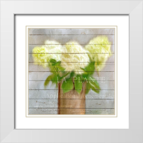 Hydrangeas in Copper White Modern Wood Framed Art Print with Double Matting by Kimberly, Allen