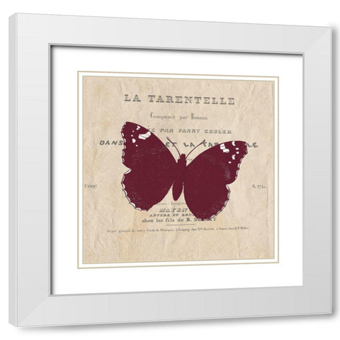 Butterfly in Color 2 White Modern Wood Framed Art Print with Double Matting by Kimberly, Allen