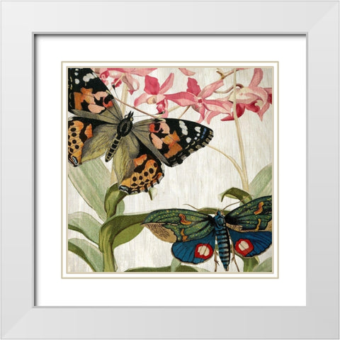 Butterfly World 1 White Modern Wood Framed Art Print with Double Matting by Kimberly, Allen