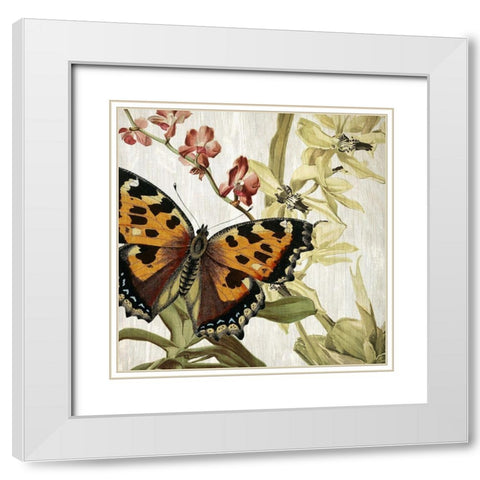 Butterfly World 2 White Modern Wood Framed Art Print with Double Matting by Kimberly, Allen