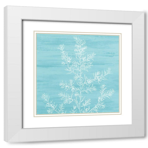 Botanical Bright 3 White Modern Wood Framed Art Print with Double Matting by Kimberly, Allen