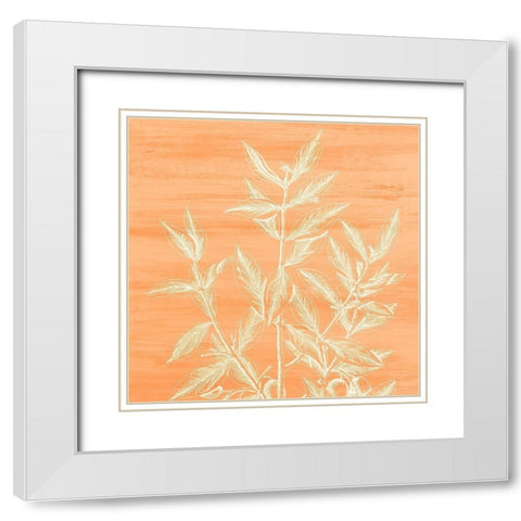 Botanical Bright 4 White Modern Wood Framed Art Print with Double Matting by Kimberly, Allen
