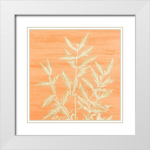 Botanical Bright 4 White Modern Wood Framed Art Print with Double Matting by Kimberly, Allen