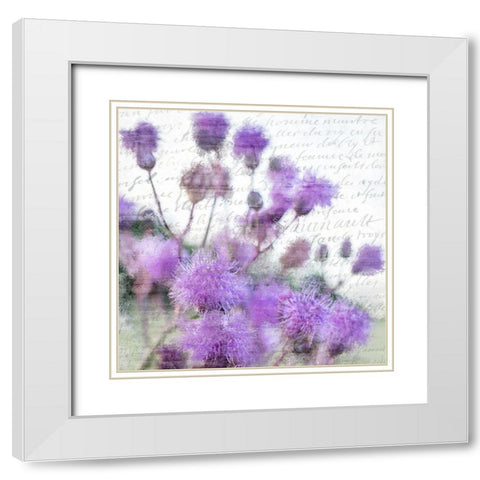 Purple Thistle 1 White Modern Wood Framed Art Print with Double Matting by Kimberly, Allen