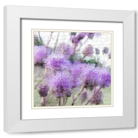 Purple Thistle 2 White Modern Wood Framed Art Print with Double Matting by Kimberly, Allen