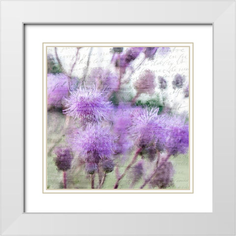 Purple Thistle 2 White Modern Wood Framed Art Print with Double Matting by Kimberly, Allen