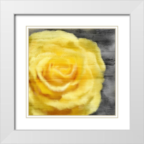 Yellow Rose White Modern Wood Framed Art Print with Double Matting by Kimberly, Allen