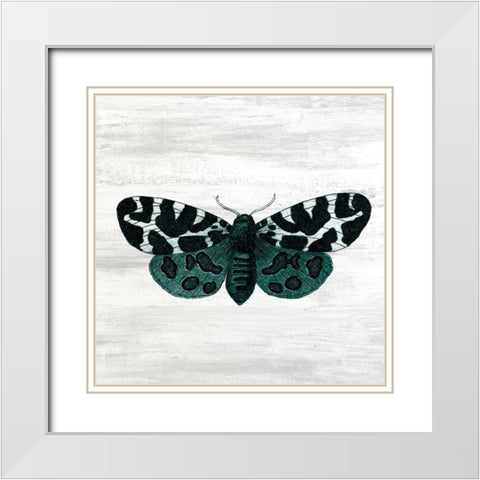 Wildflower Jar 14 White Modern Wood Framed Art Print with Double Matting by Kimberly, Allen