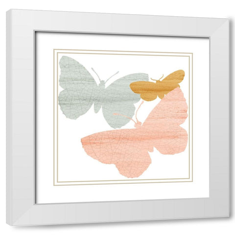 Butterfly Collection 1 White Modern Wood Framed Art Print with Double Matting by Kimberly, Allen