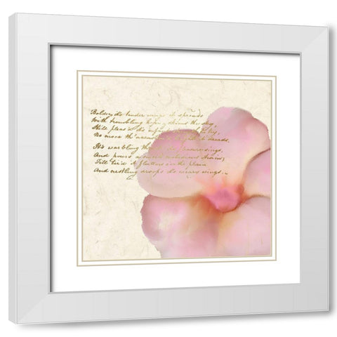 Spring Blooming Pink White Modern Wood Framed Art Print with Double Matting by Kimberly, Allen