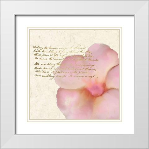 Spring Blooming Pink White Modern Wood Framed Art Print with Double Matting by Kimberly, Allen