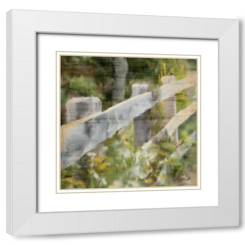 Wildflower Fence Line White Modern Wood Framed Art Print with Double Matting by Kimberly, Allen