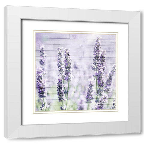 Lavender Fields 1 White Modern Wood Framed Art Print with Double Matting by Kimberly, Allen