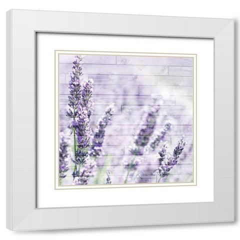 Lavender Fields 2 White Modern Wood Framed Art Print with Double Matting by Kimberly, Allen