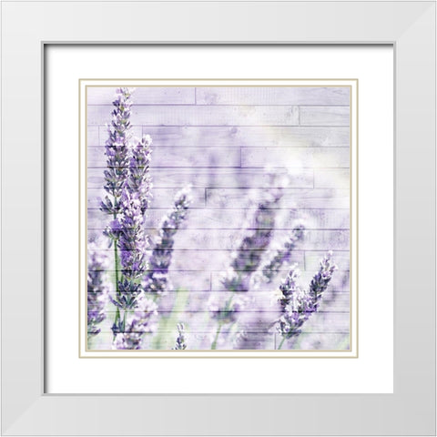 Lavender Fields 2 White Modern Wood Framed Art Print with Double Matting by Kimberly, Allen