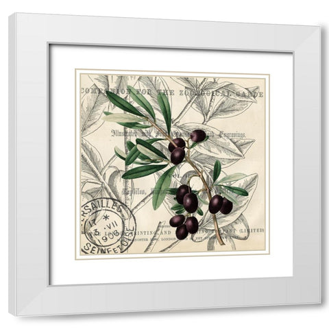 Olive Branch 2 White Modern Wood Framed Art Print with Double Matting by Kimberly, Allen