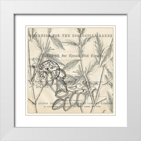 Olive Branch 4 White Modern Wood Framed Art Print with Double Matting by Kimberly, Allen