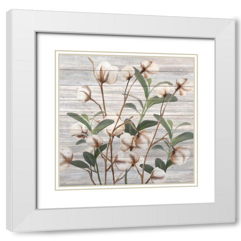 Cotton Days 3 White Modern Wood Framed Art Print with Double Matting by Kimberly, Allen