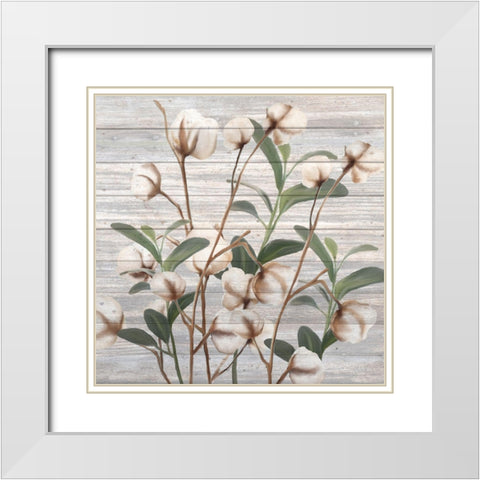 Cotton Days 3 White Modern Wood Framed Art Print with Double Matting by Kimberly, Allen