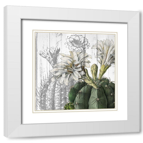Cactus Cowboy 3 White Modern Wood Framed Art Print with Double Matting by Kimberly, Allen
